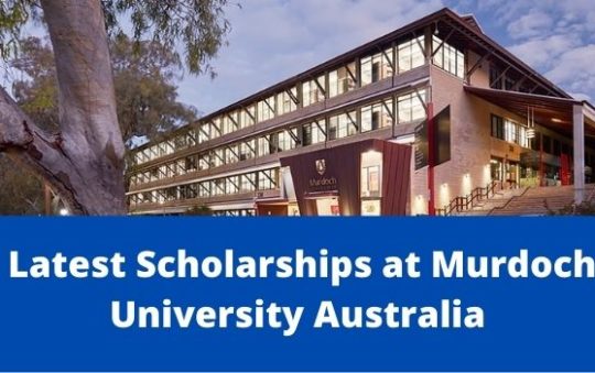 Murdoch University Scholarships, Australia-2022
