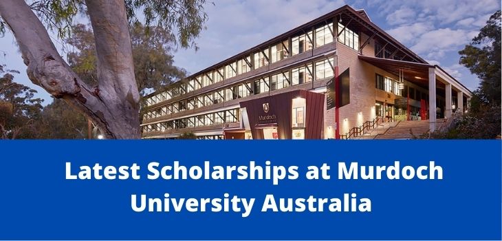 Murdoch University Scholarships, Australia-2022
