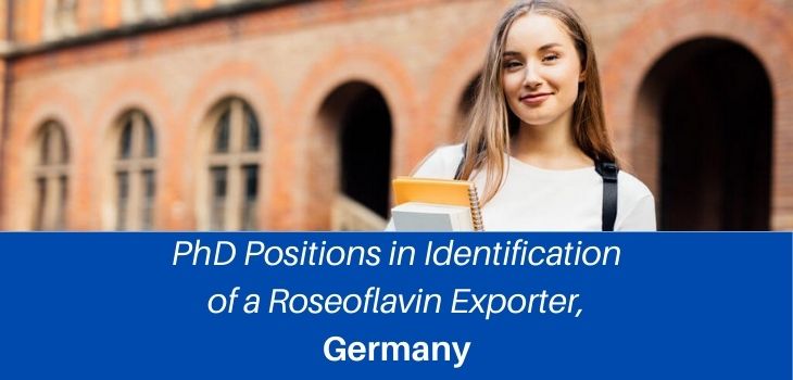 ✅ Heidelberg University Latest PhD Positions, Germany 2022