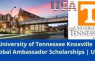 ✅ University of Tennessee Knoxville | Global Ambassador Undergraduate Scholarships | USA | 2022-2023