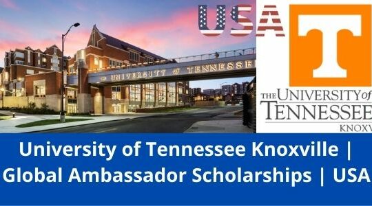 Global Ambassador Undergraduate Scholarship, USA-2022