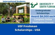 USF Freshman Scholarships-USA 2023